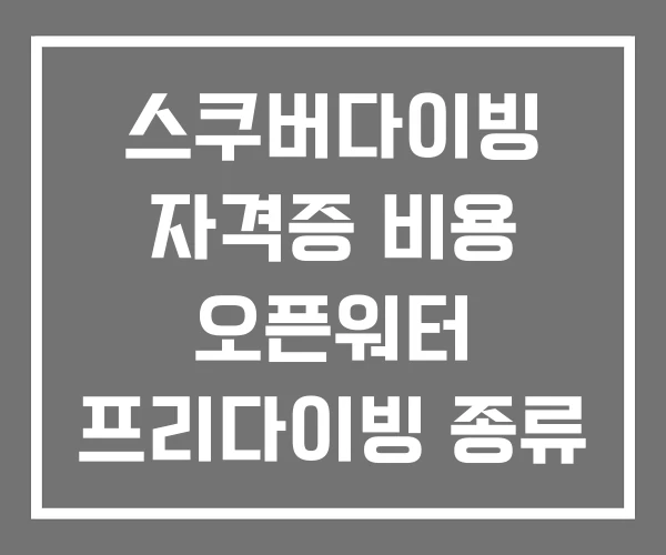스쿠버다이빙 자격증 비용 오픈워터 프리다이빙 종류
