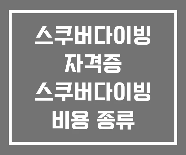 스쿠버다이빙 자격증 스쿠버다이빙 비용 종류