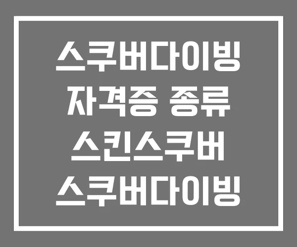 스쿠버다이빙 자격증 종류 스킨스쿠버 스쿠버다이빙 차이