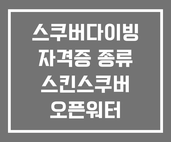 스쿠버다이빙 자격증 종류 스킨스쿠버 오픈워터