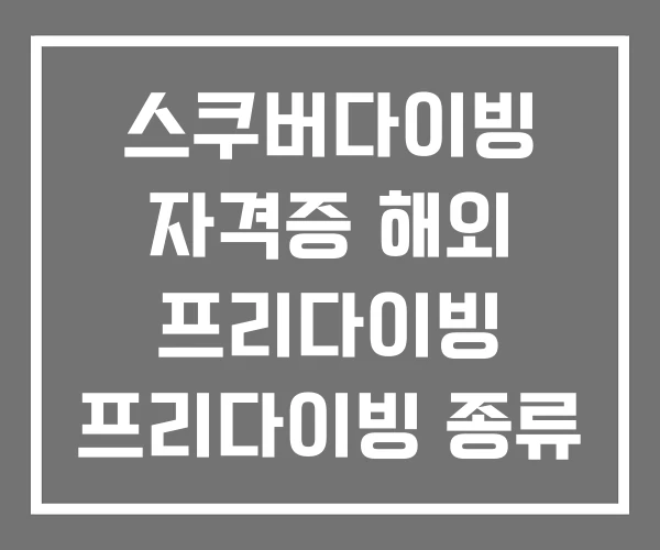 스쿠버다이빙 자격증 해외 프리다이빙 프리다이빙 종류