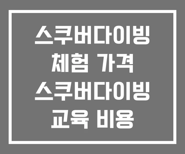 스쿠버다이빙 체험 가격 스쿠버다이빙 교육 비용 스쿠버다이빙 체험 가격 스쿠버다이빙 교육 비용