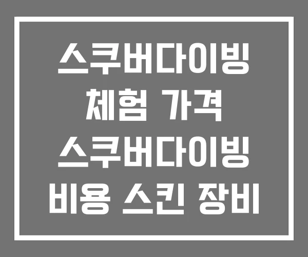 스쿠버다이빙 체험 가격 스쿠버다이빙 비용 스킨 장비