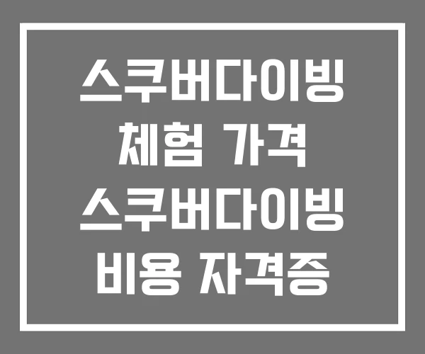 스쿠버다이빙 체험 가격 스쿠버다이빙 비용 자격증 종류