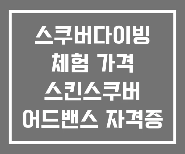 스쿠버다이빙 체험 가격 스킨스쿠버 어드밴스 자격증 비용