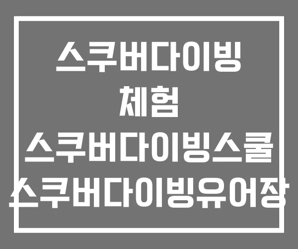 스쿠버다이빙 체험 스쿠버다이빙스쿨 스쿠버다이빙유어장