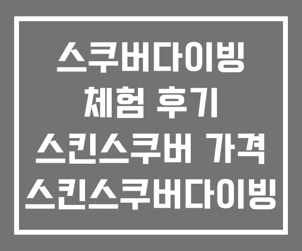 스쿠버다이빙 체험 후기 스킨스쿠버 가격 스킨스쿠버다이빙