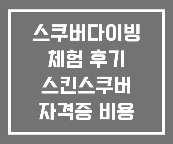 스쿠버다이빙 체험 후기 스킨스쿠버 자격증 비용