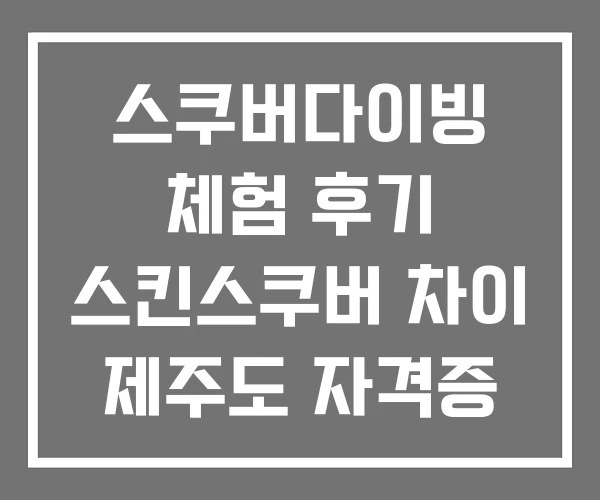 스쿠버다이빙 체험 후기 스킨스쿠버 차이 제주도 자격증