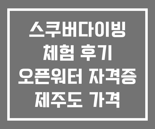 스쿠버다이빙 체험 후기 오픈워터 자격증 제주도 가격