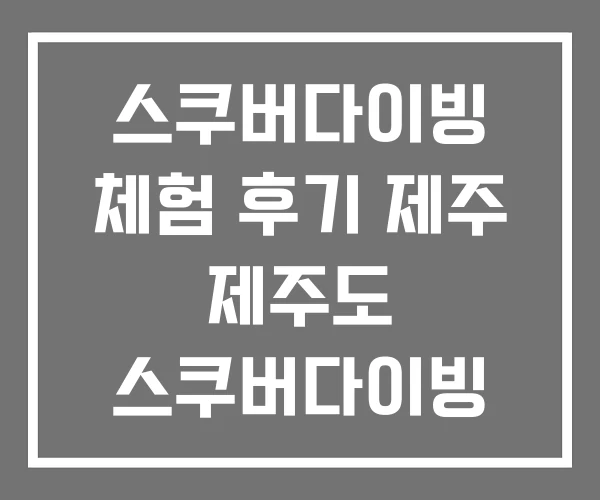 스쿠버다이빙 체험 후기 제주 제주도 스쿠버다이빙