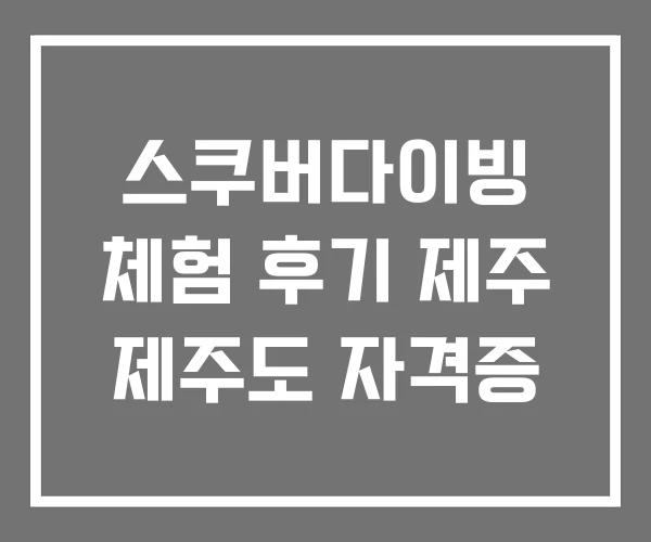 스쿠버다이빙 체험 후기 제주 제주도 자격증