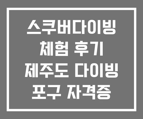 스쿠버다이빙 체험 후기 제주도 다이빙 포구 자격증