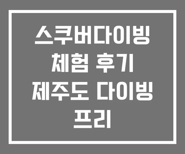 스쿠버다이빙 체험 후기 제주도 다이빙 프리