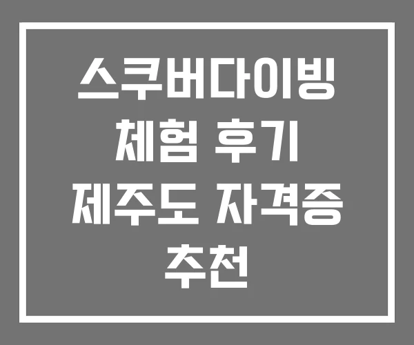 스쿠버다이빙 체험 후기 제주도 자격증 추천