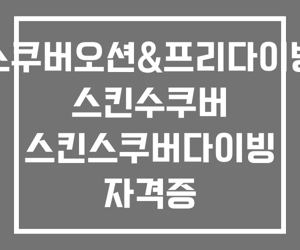 스쿠버오션&프리다이빙 스킨수쿠버 스킨스쿠버다이빙 자격증