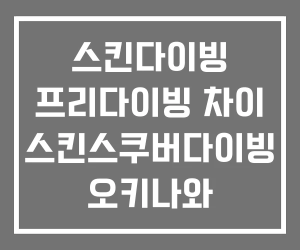 스킨다이빙 프리다이빙 차이 스킨스쿠버다이빙 오키나와
