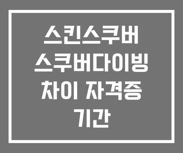 스킨스쿠버 스쿠버다이빙 차이 자격증 기간