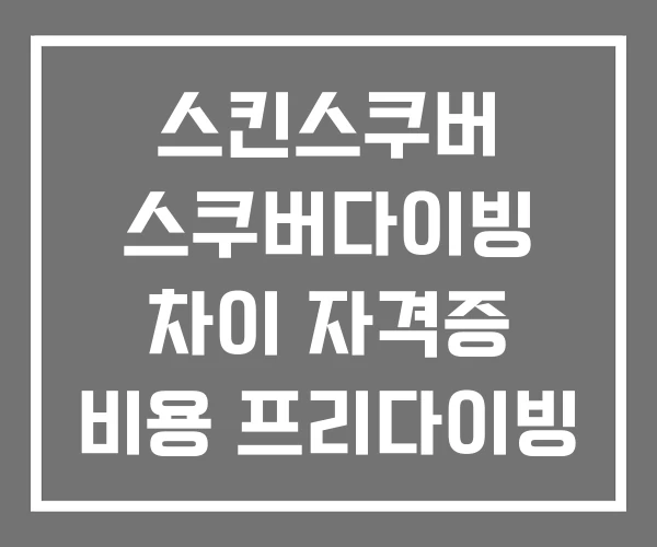 스킨스쿠버 스쿠버다이빙 차이 자격증 비용 프리다이빙