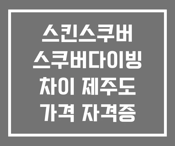 스킨스쿠버 스쿠버다이빙 차이 제주도 가격 자격증