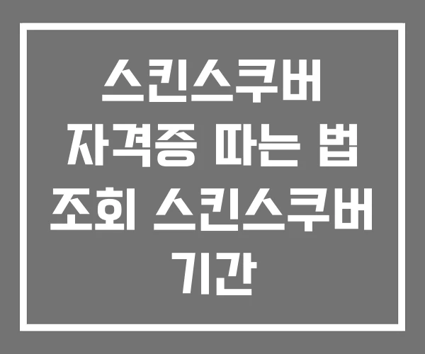 스킨스쿠버 자격증 따는 법 조회 스킨스쿠버 기간