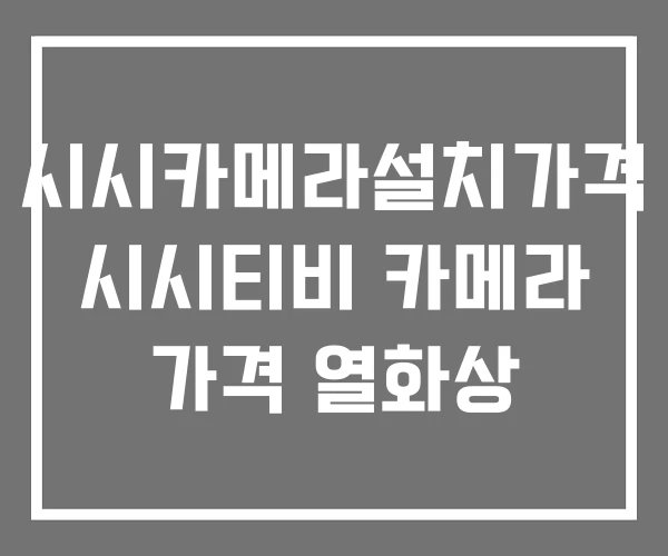 시시카메라설치가격 시시티비 카메라 가격 열화상