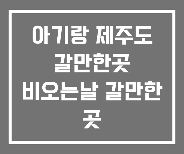 아기랑 제주도 갈만한곳 비오는날 갈만한 곳 아기랑 제주도 갈만한곳 비오는날 갈만한 곳