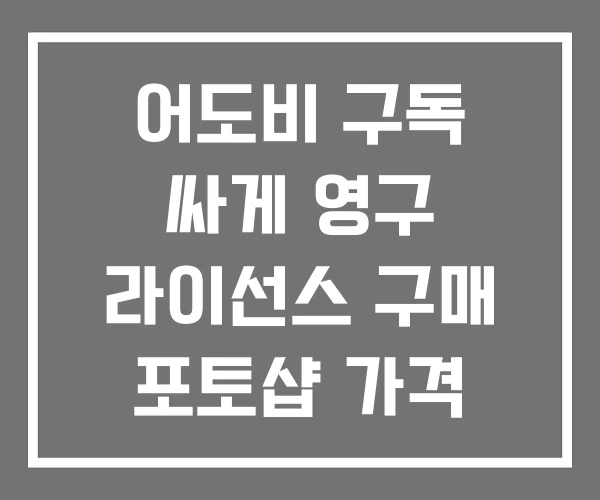 어도비 구독 싸게 영구 라이선스 구매 포토샵 가격