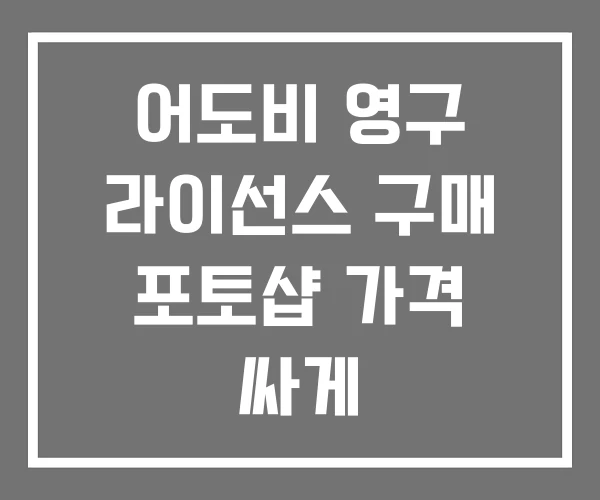 어도비 영구 라이선스 구매 포토샵 가격 싸게