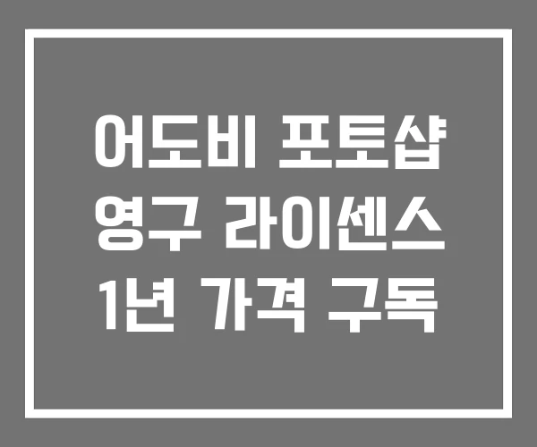 어도비 포토샵 영구 라이센스 1년 가격 구독