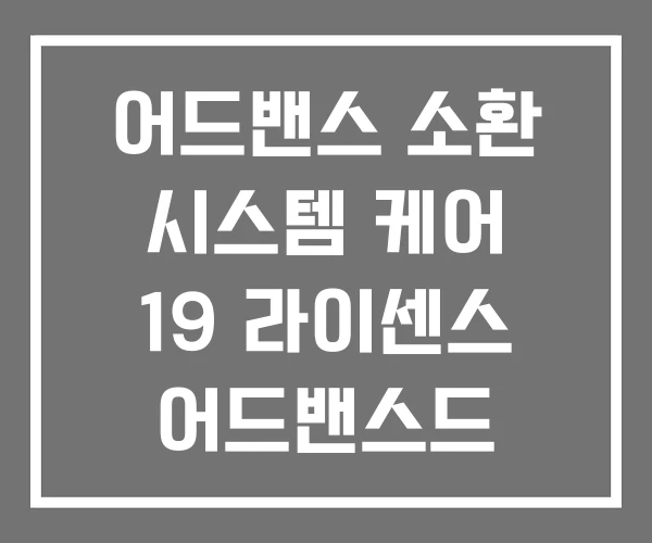 어드밴스 소환 시스템 케어 19 라이센스 어드밴스드