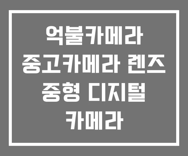 억불카메라 중고카메라 렌즈 중형 디지털 카메라