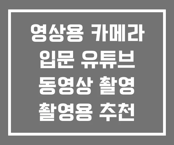 영상용 카메라 입문 유튜브 동영상 촬영 촬영용 추천