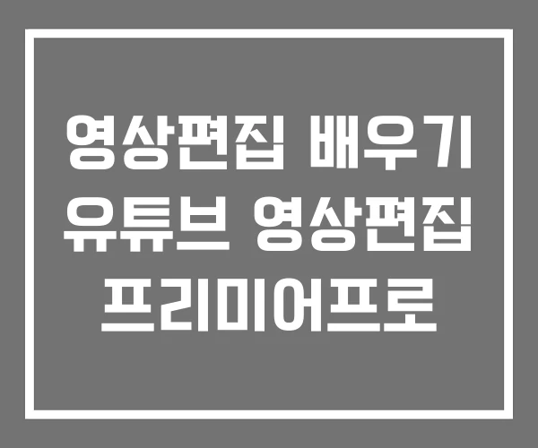 영상편집 배우기 유튜브 영상편집 프리미어프로
