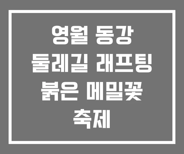 영월 동강 둘레길 래프팅 붉은 메밀꽃 축제 영월 동강 둘레길 래프팅 붉은 메밀꽃 축제