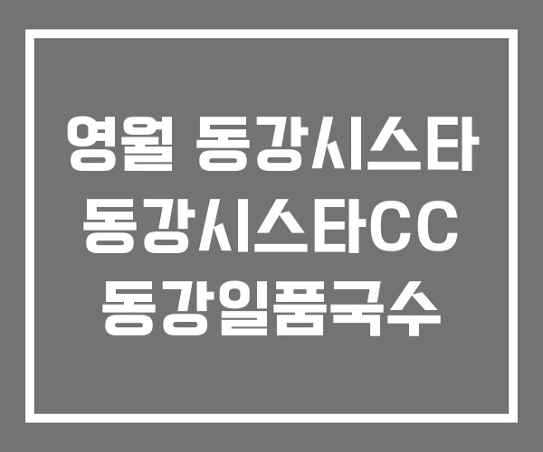 영월 동강시스타 동강시스타CC 동강일품국수