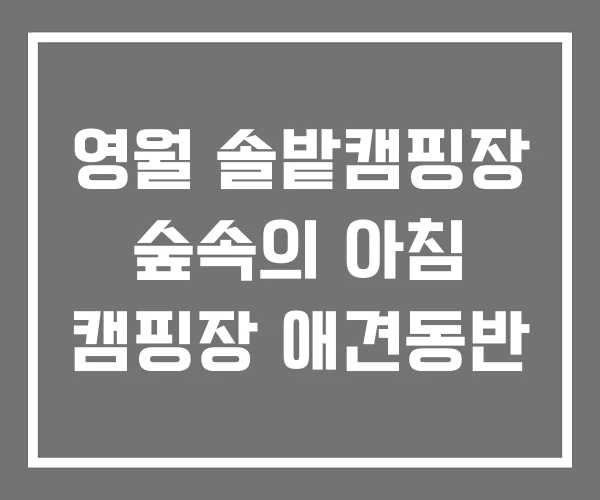 영월 솔밭캠핑장 숲속의 아침 캠핑장 애견동반
