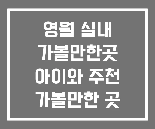 영월 실내 가볼만한곳 아이와 주천 가볼만한 곳