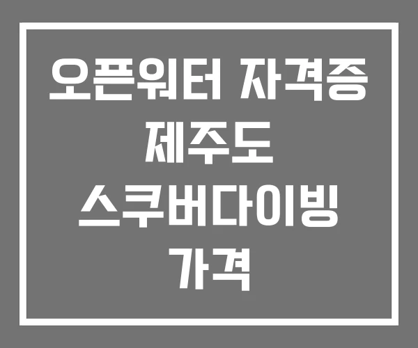 오픈워터 자격증 제주도 스쿠버다이빙 가격
