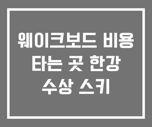 웨이크보드 비용 타는 곳 한강 수상 스키 웨이크보드 비용 타는 곳 한강 수상 스키