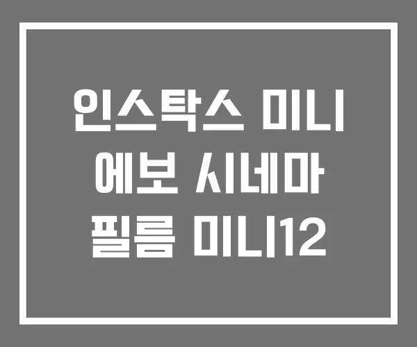 인스탁스 미니 에보 시네마 필름 미니12