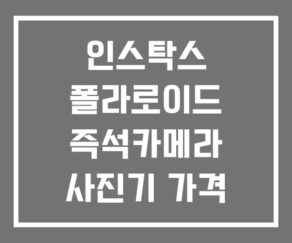 인스탁스 폴라로이드 즉석카메라 사진기 가격