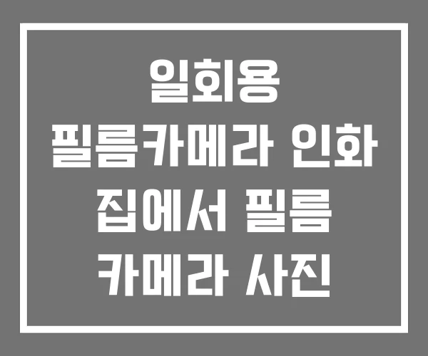 일회용 필름카메라 인화 집에서 필름 카메라 사진 확인