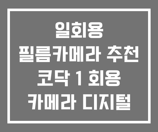 일회용 필름카메라 추천 코닥 1 회용 카메라 디지털