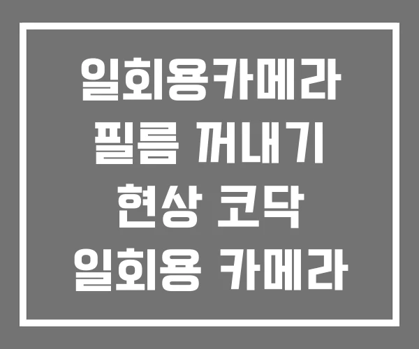 일회용카메라 필름 꺼내기 현상 코닥 일회용 카메라