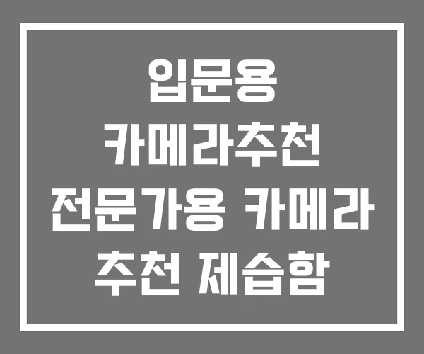 입문용 카메라추천 전문가용 카메라 추천 제습함