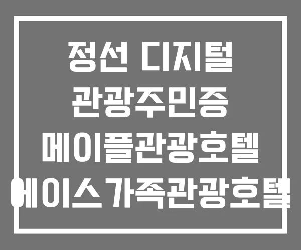 정선 디지털 관광주민증 메이플관광호텔 에이스가족관광호텔