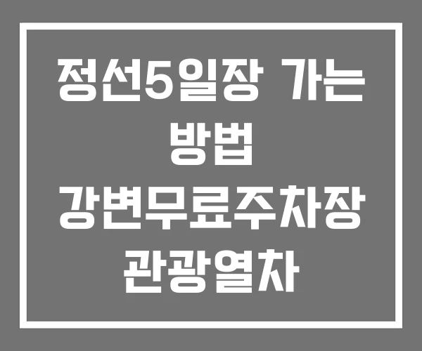 정선5일장 가는 방법 강변무료주차장 관광열차
