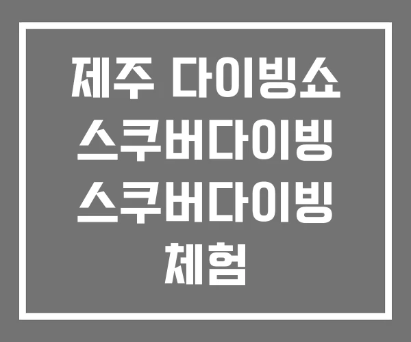 제주 다이빙쇼 스쿠버다이빙 스쿠버다이빙 체험