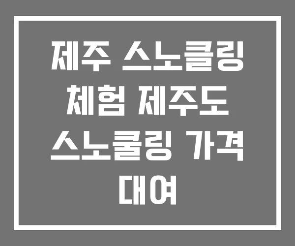 제주 스노클링 체험 제주도 스노쿨링 가격 대여 제주 스노클링 체험 제주도 스노쿨링 가격 대여